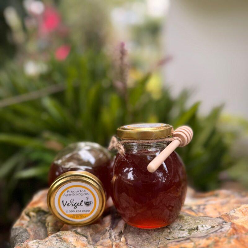 Miel de abejas por 300 g El vergel con bolinillo