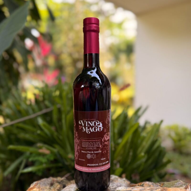 Vino el Mago